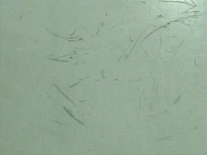 TSR125 �T�C�h�J�o�[�� SF15A-1171