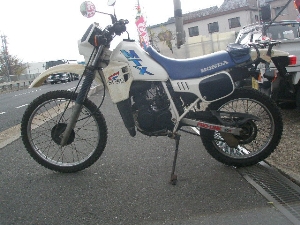 HONDA/z_ MTX50@AD06-1304