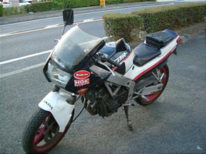 HONDA  CBR250R MC17-1013